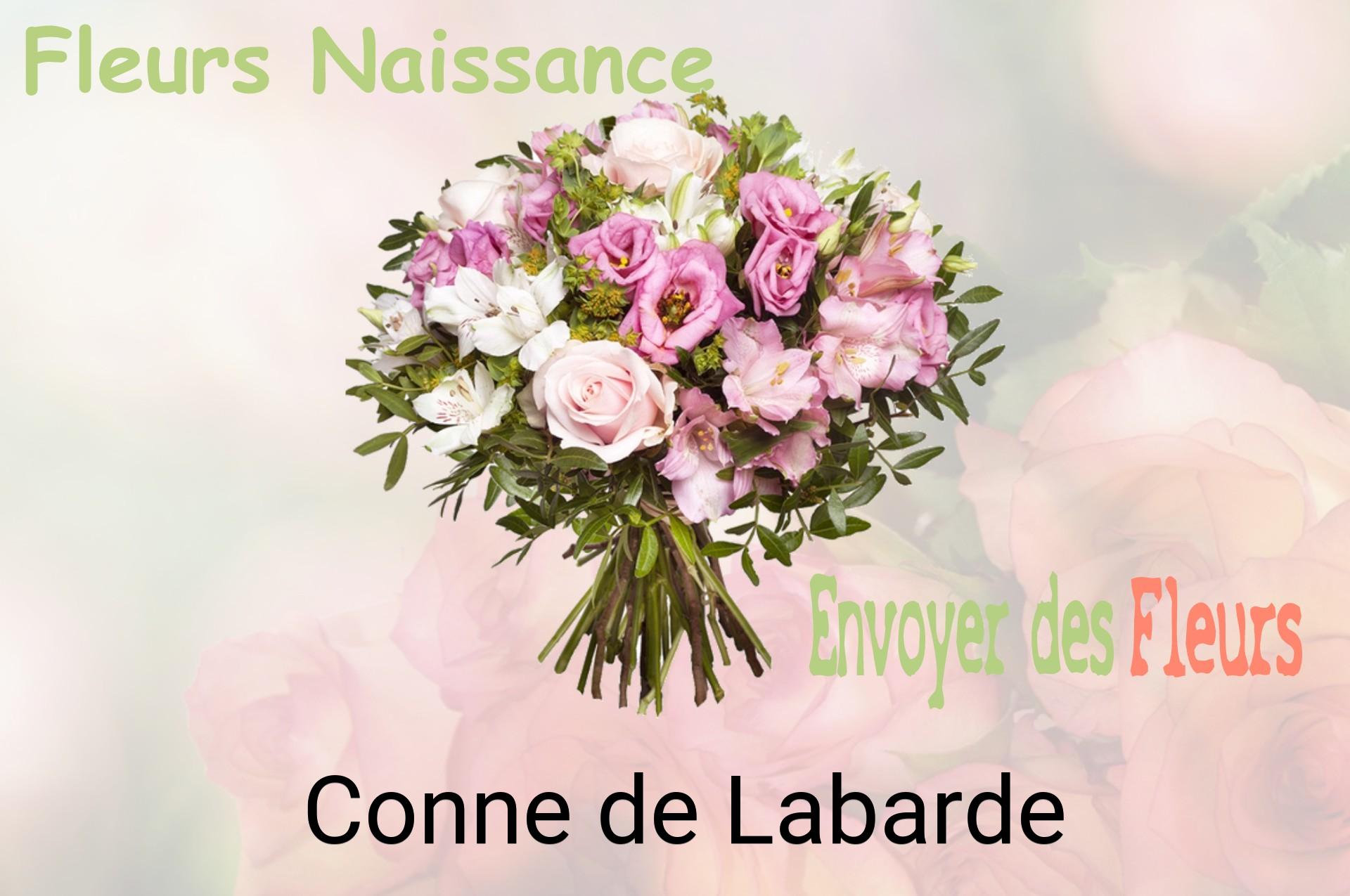 Bouquet de fleurs de naissance livré à Conne-de-Labarde